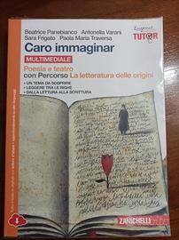 Caro immaginar Poesia e teatro - 9788808937001