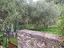 Immagine 23