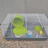 Gabbietta per criceto 