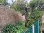 Immagine 19