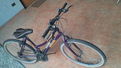 mountain bike