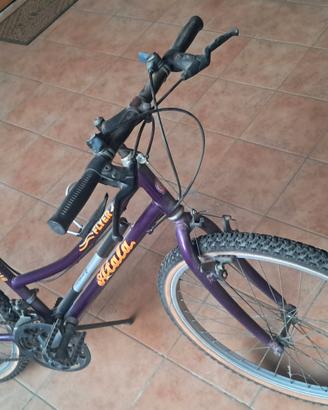mountain bike