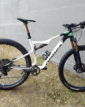 Orbea oiz 
