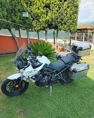 Triumph tiger 800 XRT
