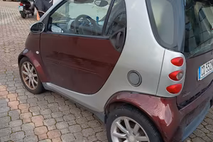 Smart 450 
