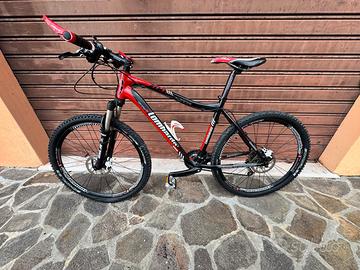 Mountain bike