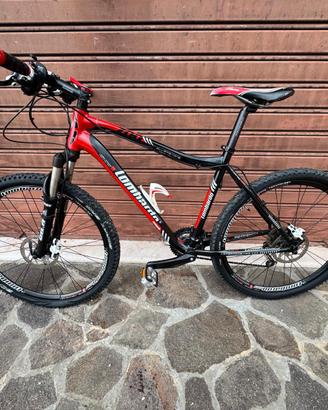 Mountain bike