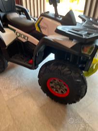 Quad elettrico