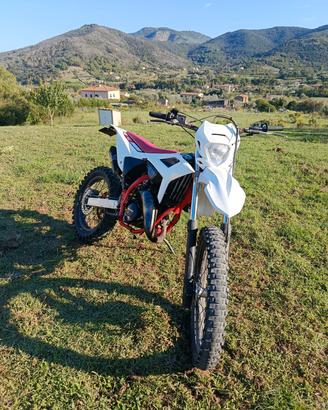 Beta rr50 2024
