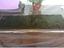 Immagine 3