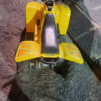 Quad grizzly
