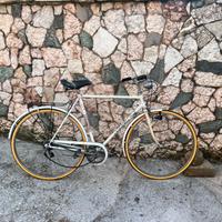 Bici uomo STELVIO