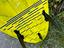 Immagine 6