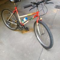 Bicicletta da donna.