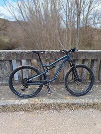 Mtb Rockrider AM 50 taglia L