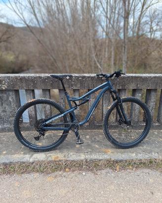 Mtb Rockrider AM 50 taglia L