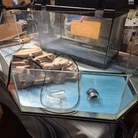 Acquario per Tartarughe