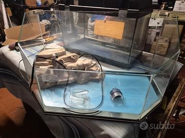 Acquario per Tartarughe