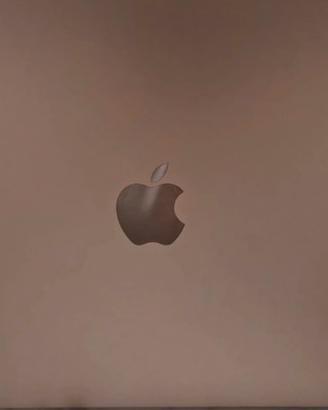 Mac book air rose gold 