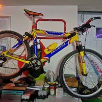 Mountain bike Paletti gialloblu