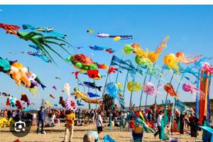 Pinarella festival acquiloni 23 aprile-3 maggi2026