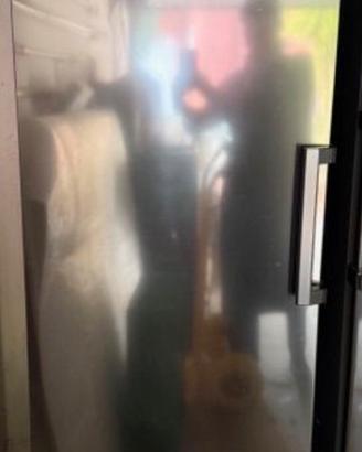 Frigorifero LG modello GL5241PZJZ1