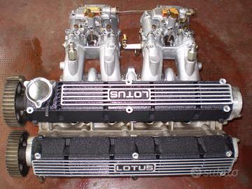 TESTATA LOTUS