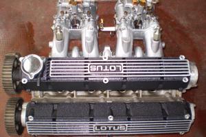 TESTATA LOTUS