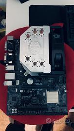 Scheda madre e processore