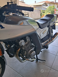 Bol dor 900 moto per amatori