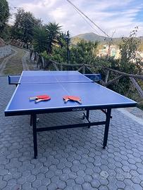 Tavolo da ping pong