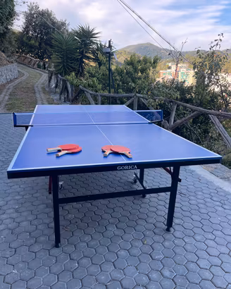 Tavolo da ping pong