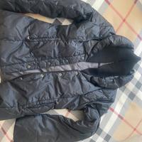 Giubbino Calvin Klein jeans