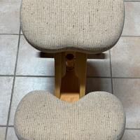 Sedia Ergonomica