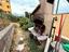 Immagine 25