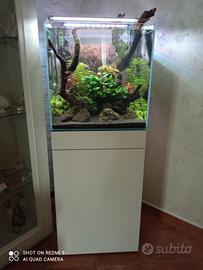 Acquario+ mobiletto .