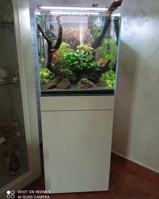 Acquario+ mobiletto .