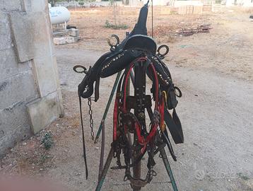 Cavallo