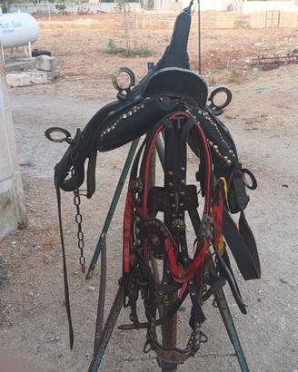 Cavallo
