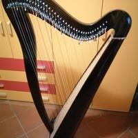Arpa Celtica