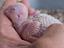 Immagine 6