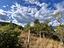 Immagine 22