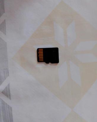 MicroSD compatibile Switch 128gb