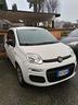 fiat-panda-1-2-easypower-classic