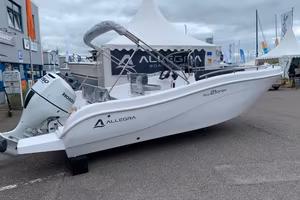allegra 21