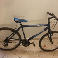 Bicicletta mountain bike
