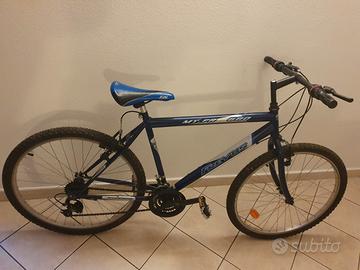 Bicicletta mountain bike