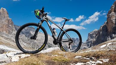 Mtb Ktm in carbonio