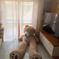 Peluche Orso