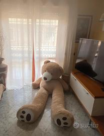 Peluche Orso